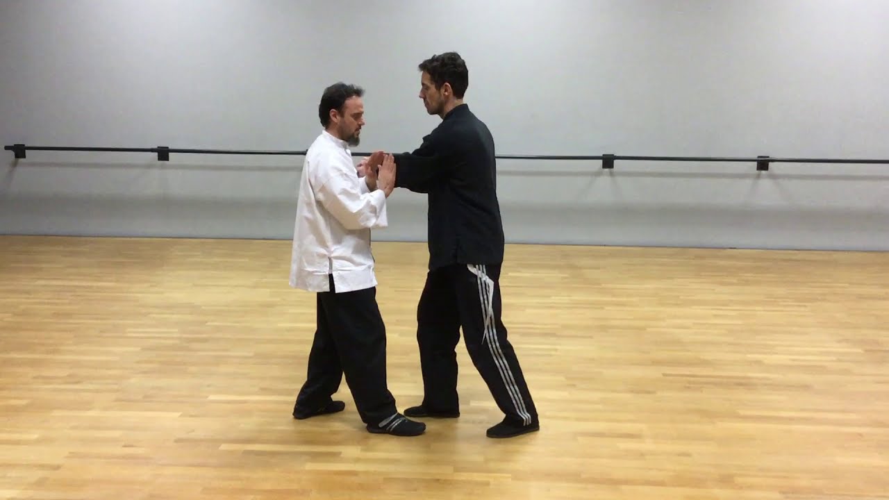 Tuishou à pas fixes avec expression des huit potentiels