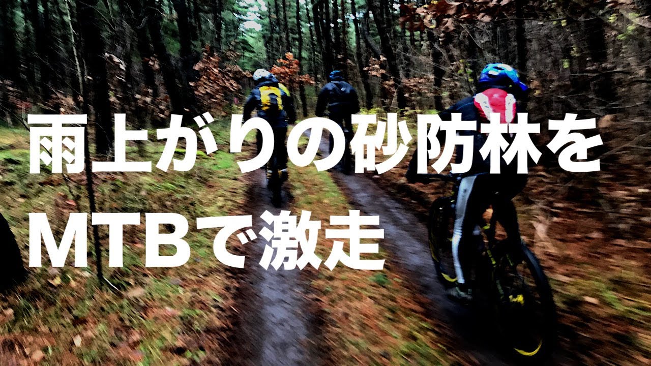 雨上がりの砂防林をMTBで激走 