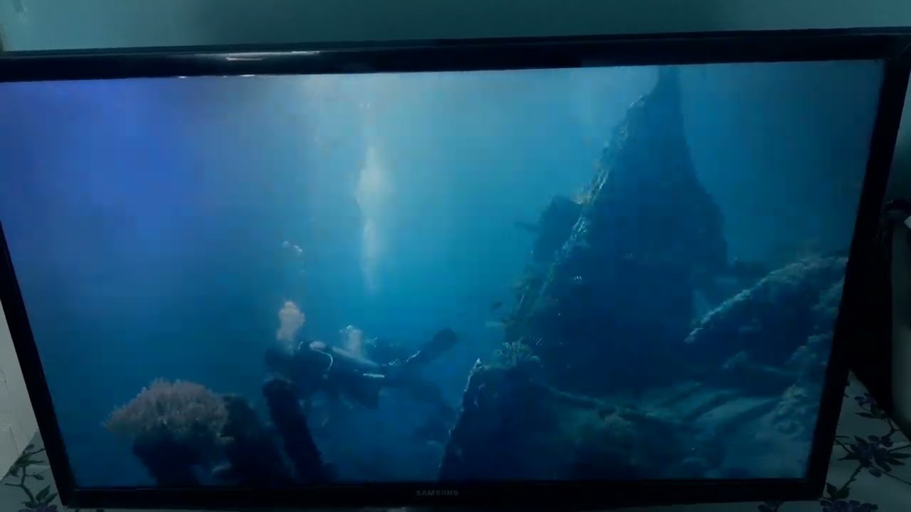 Travel Channel ID