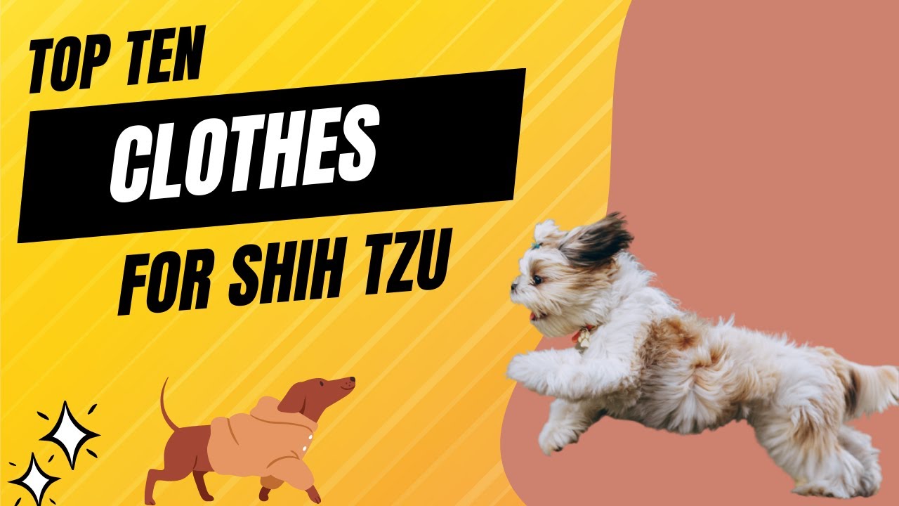 Top ten clothes for Shih Tzu | The 10 Best Clothes for Your Furry Friend | Pet Knowledge Zone 