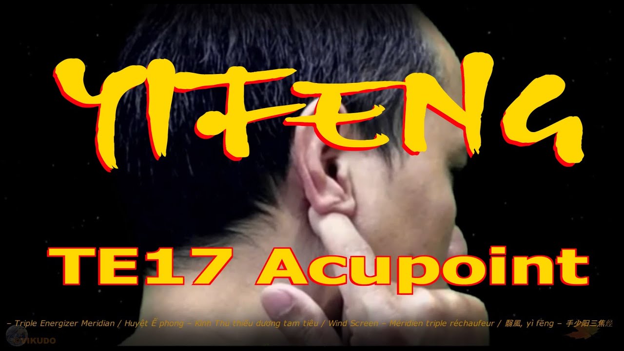 TE17 | Yifeng Acupoint | Triple Energizer Meridian | Acupressure VIKUDO