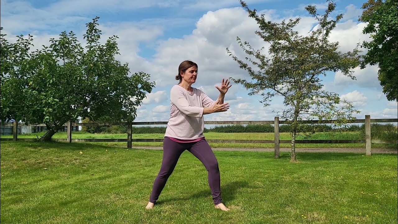 Qigong for the Heart and Lungs