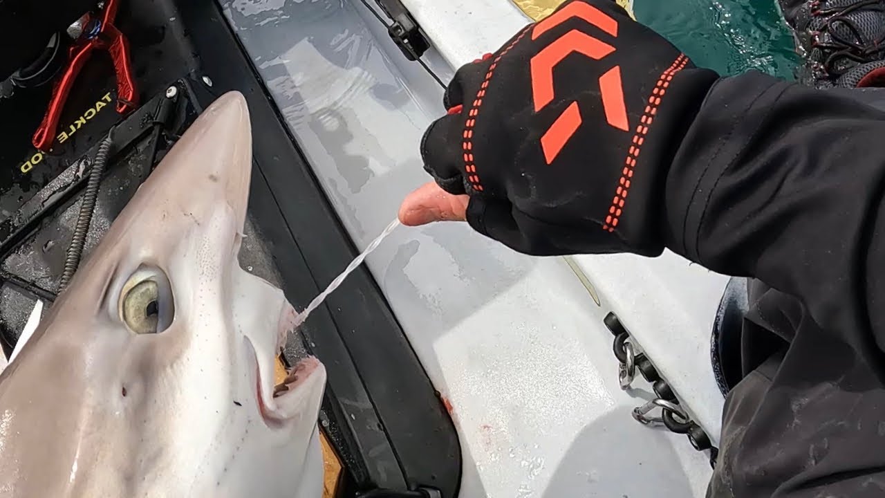 How To Tie A Twisted Mono Biting Trace - How To Make Fishing Rigs - Boat Fishing - Sea Fishing UK