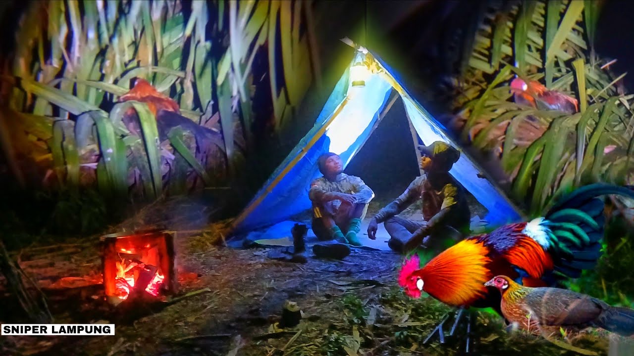 SURVIVAL MALAM HARI DI KEBUN SAWIT‼️BERBURU AYAM HUTAN ,BIKIN TENDA DAN MASAK DI TEMPAT
