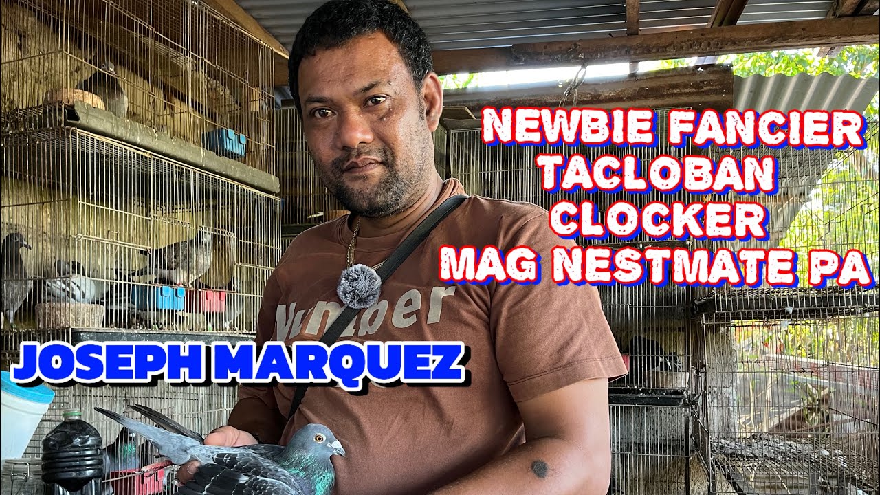 DINAIG PA ANG WITH PEDS NA BREEDER? UNKNOWN LINE UNANG SUBOK OVER ALL CHAMPION AGAD!