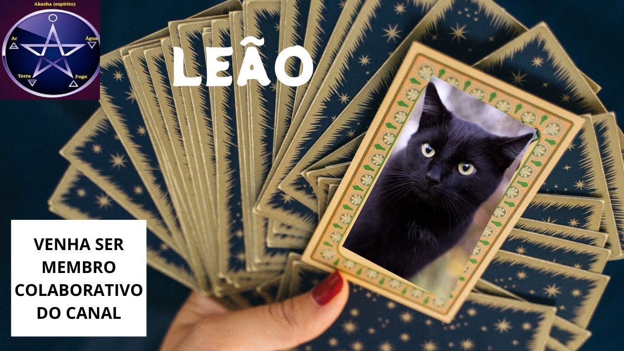 ♌LEÃO - COMUNICAÇÃO EM PAUTA.UM ENCONTRO.UMA PROPOSTA QUE TRARÁ CRESCIMENTO MATERIAL.