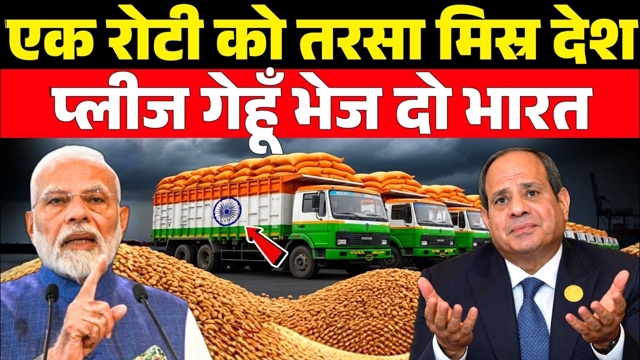 जिस भारत के गेहूं को ठुकराया, आज उसी के आगे झुका मिस्र | Wheat Diplomacy