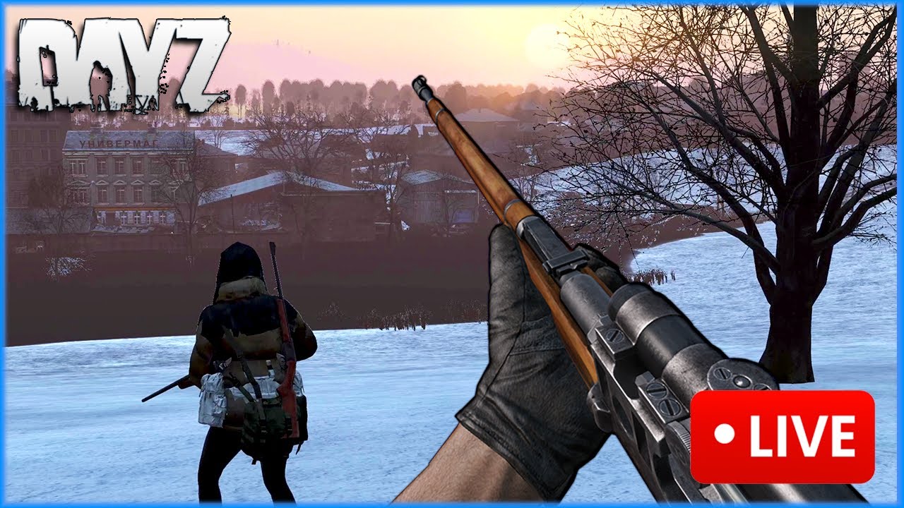 DayZ LIVE | 1440p | Nitno 285