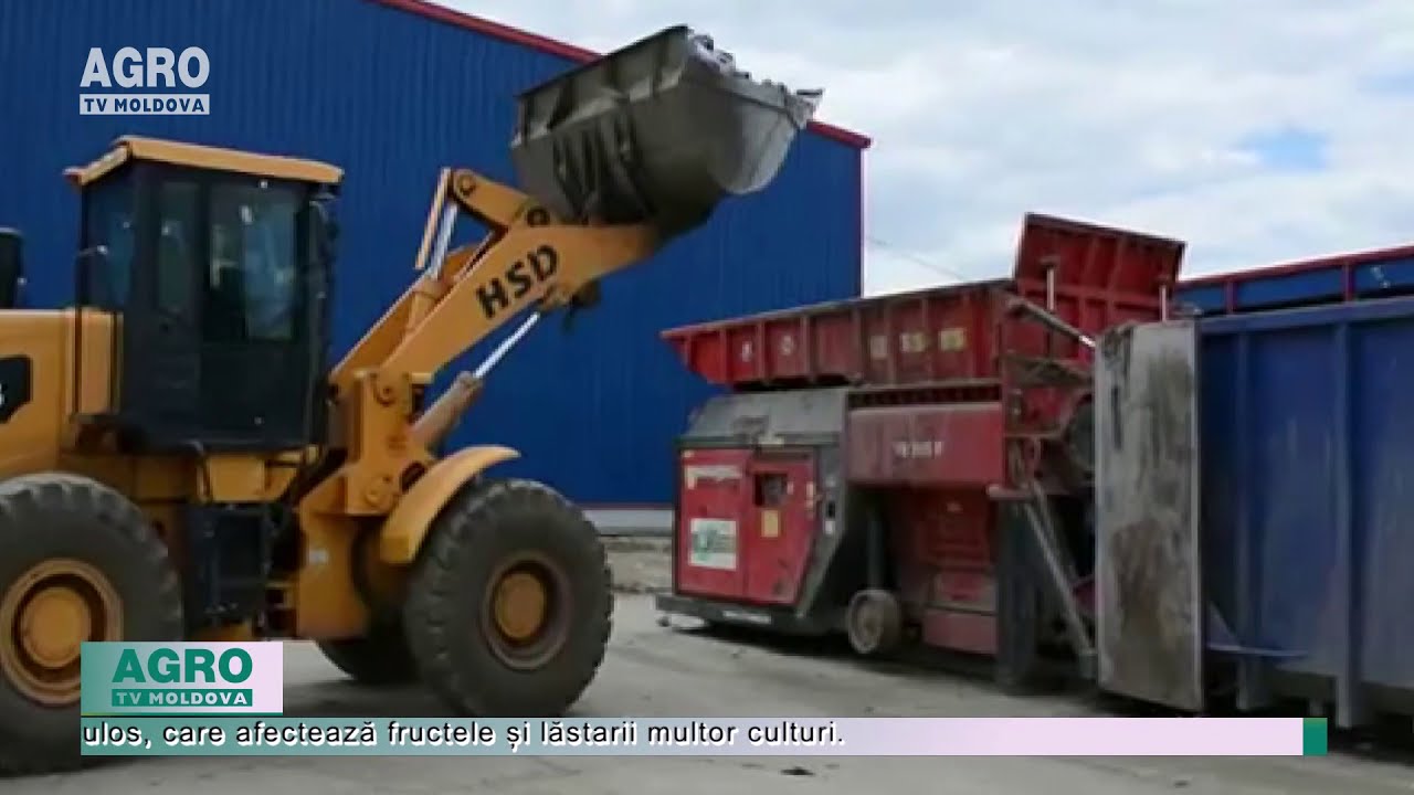 Un alt lot de prune moldovenești a fost distrus de ruși &ndash; AGRO TV news