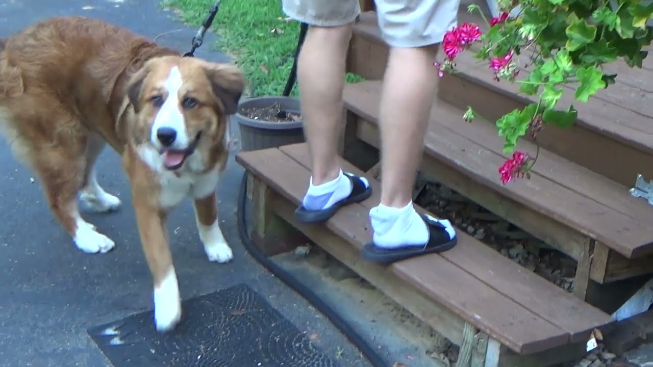 08-07-2022 Linda's Birthday