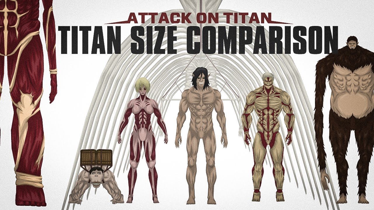Attack On Titan Size Comparison 2023 || Animated