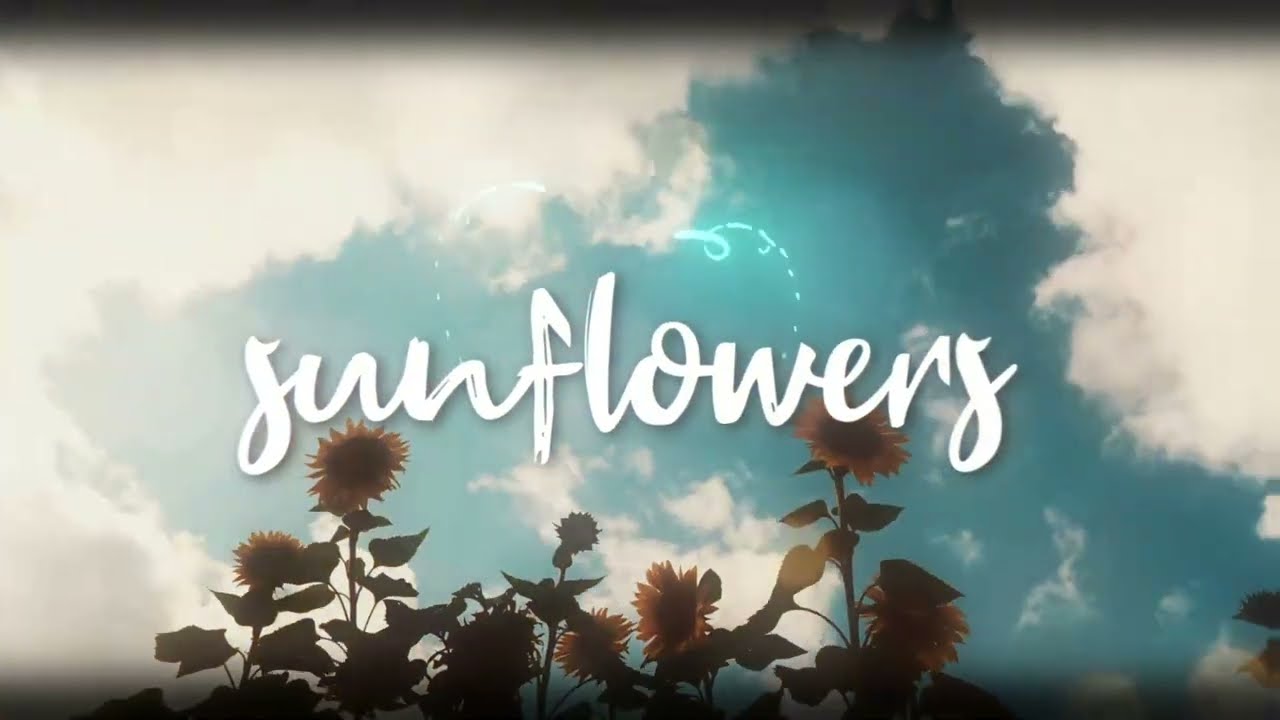 Sunflowers - Kurtis Hoppie x Vito OT x Spencer Boliou (Official Lyric Video)