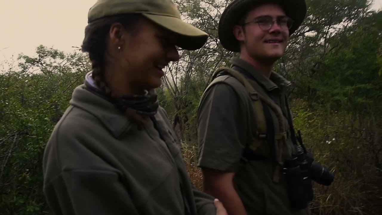 Tracking a Black Rhino