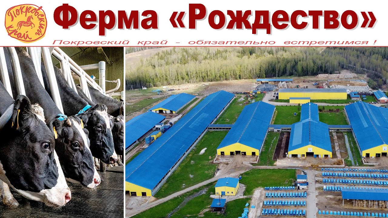 Ферма 