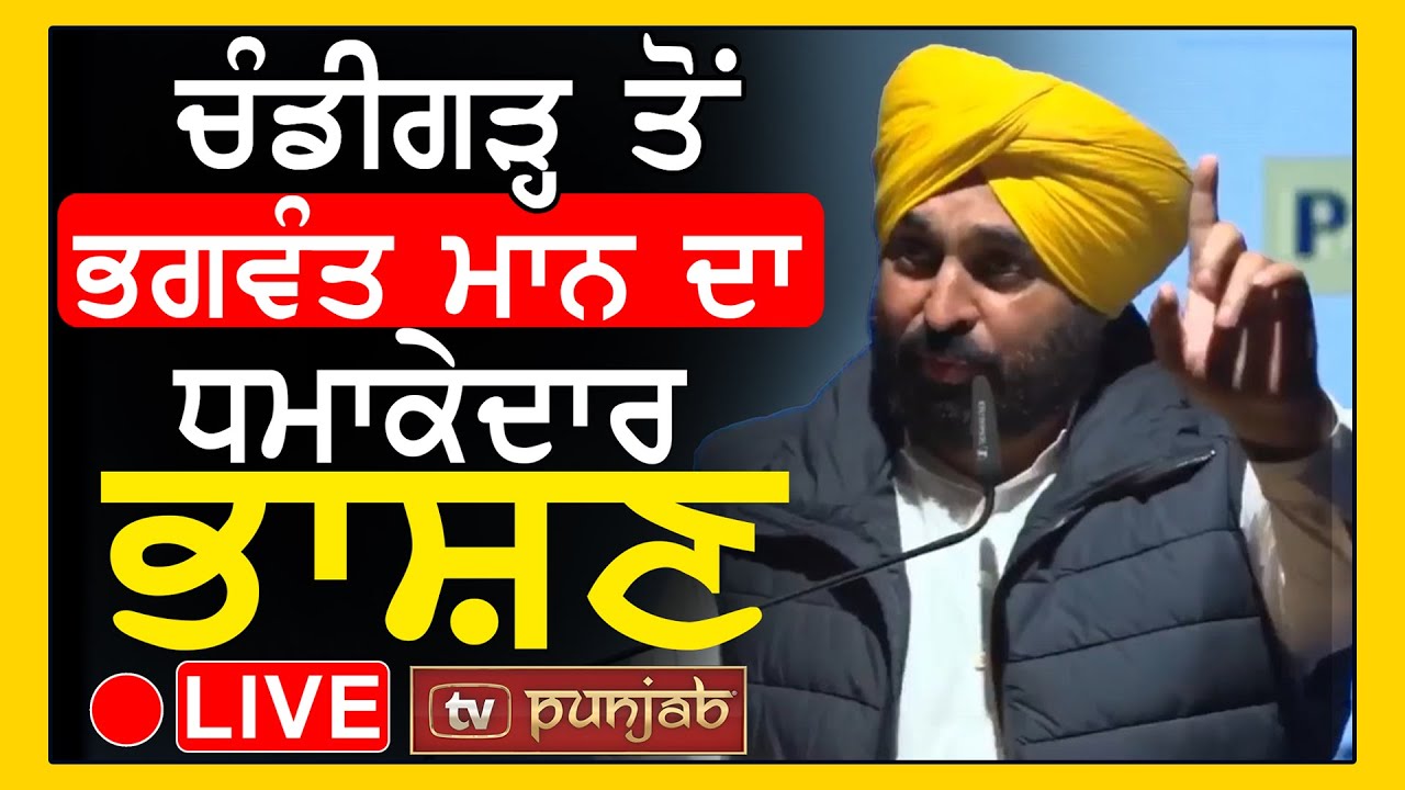 Chandigarh ਤੋਂ CM Bhagwant Mann ਧਮਾਕੇਦਾਰ ਭਾਸ਼ਣ LIVE - TV Punjab