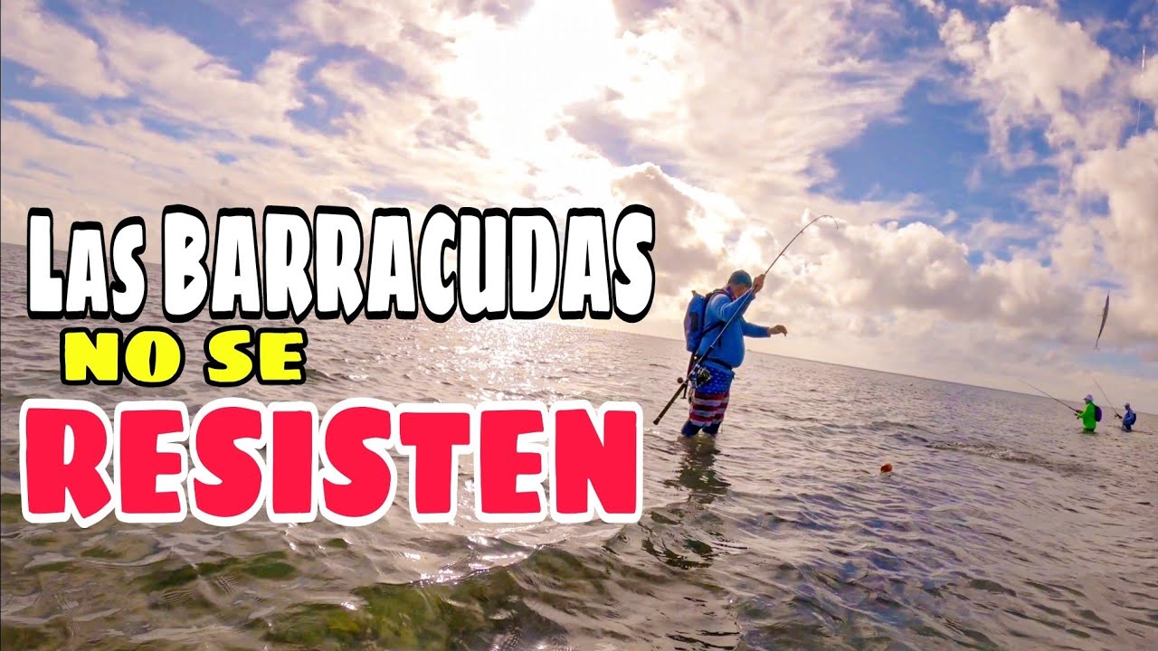 Señuelos SUPER EFECTIVOS para PESCAR Barracuda