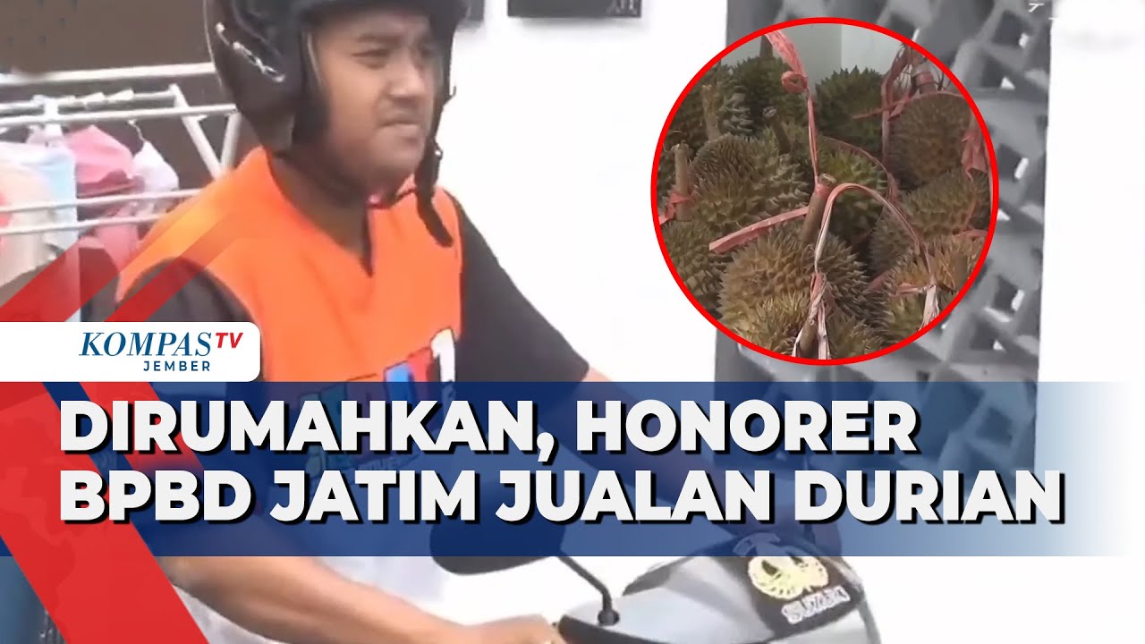 6 Tahun Mengabdi, Honorer BPBD Jatim Dirumahkan & Cari Nafkah dengan Jualan Durian