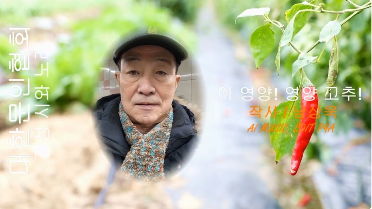 남상욱 작사 / 아 영양! 영양 고추! / 감성 시와 노래