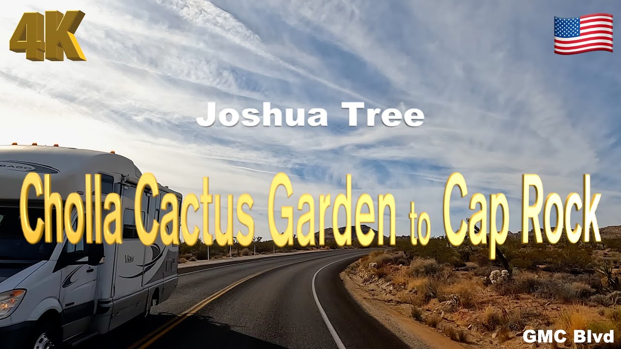 [4K] Joshua Tree National Park California USA in 2023 - Cholla Cactus Garden to Cap Rock