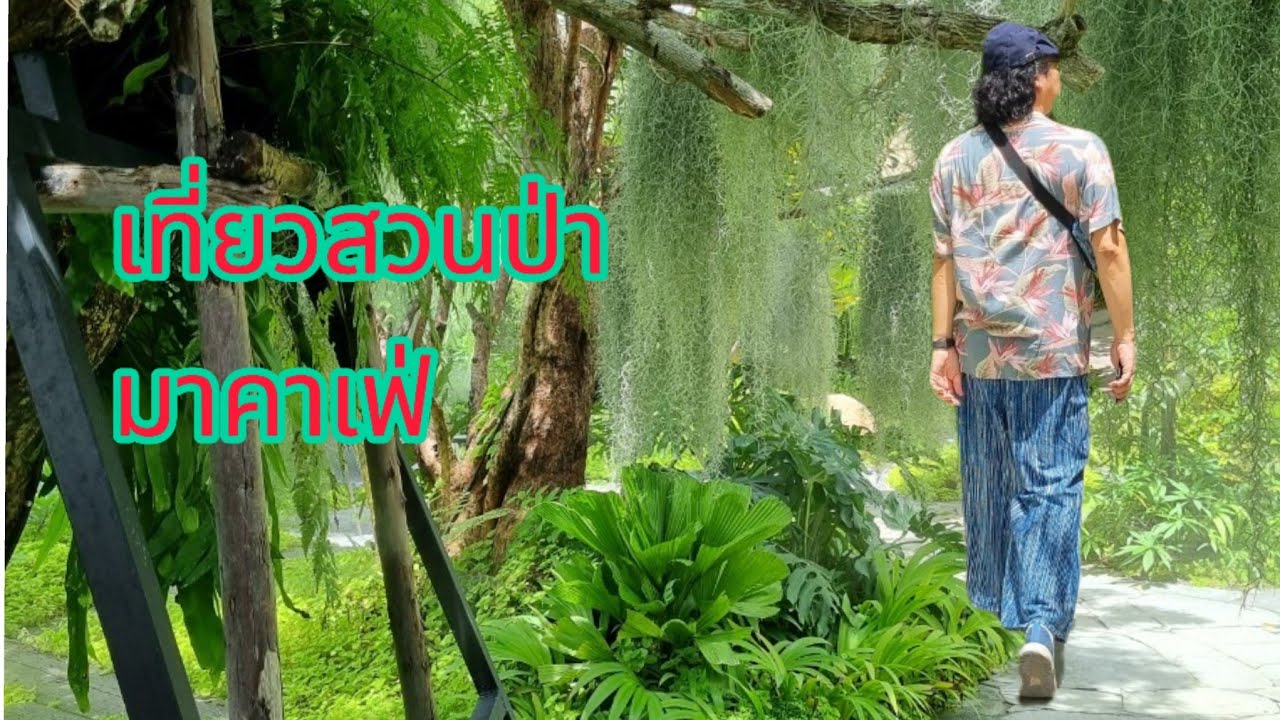 ep.13 เที่ยวคาเฟ่ ชมสวนป่า ใกล้กรุง