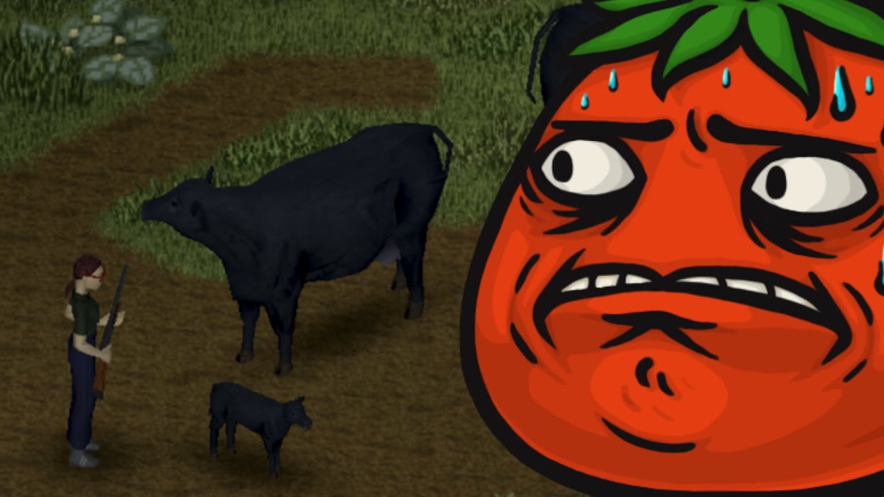 Zombies are a lesser threat compared to a cow deciding it wants me dead (Zomboid B42 MP)