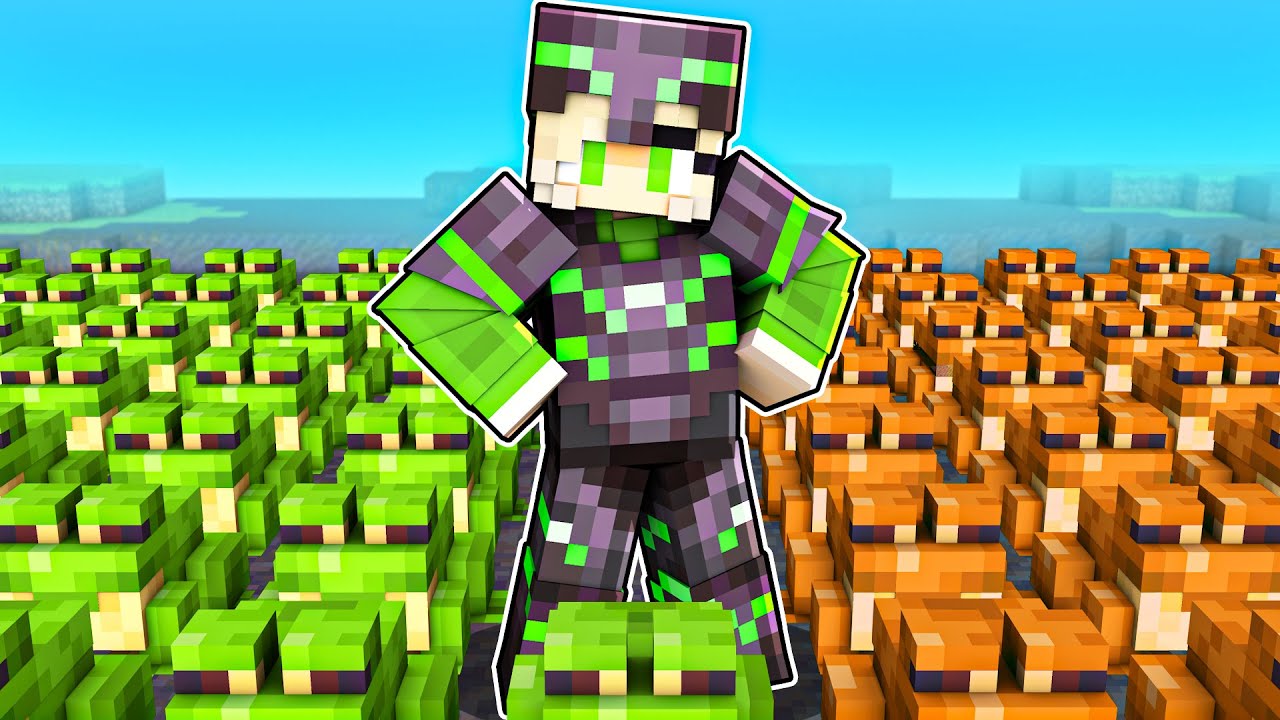 ich hole FROGGY auf die YOUTUBER INSEL!