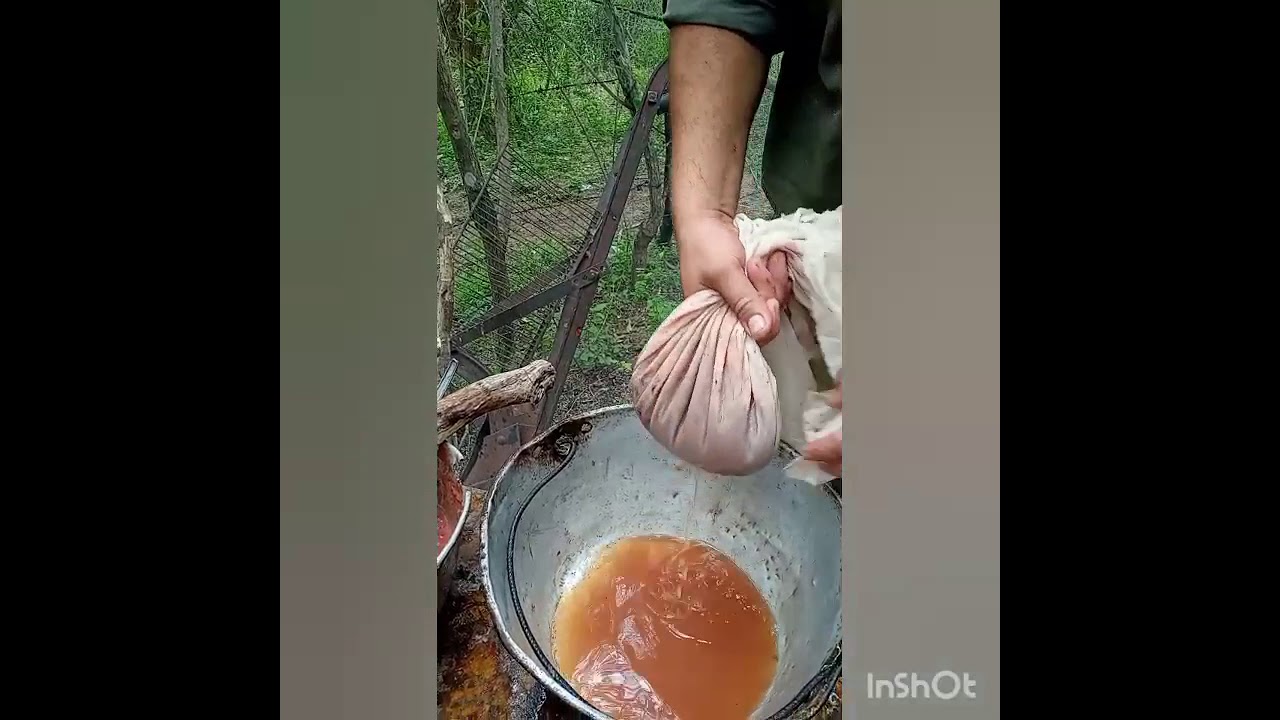 receta 