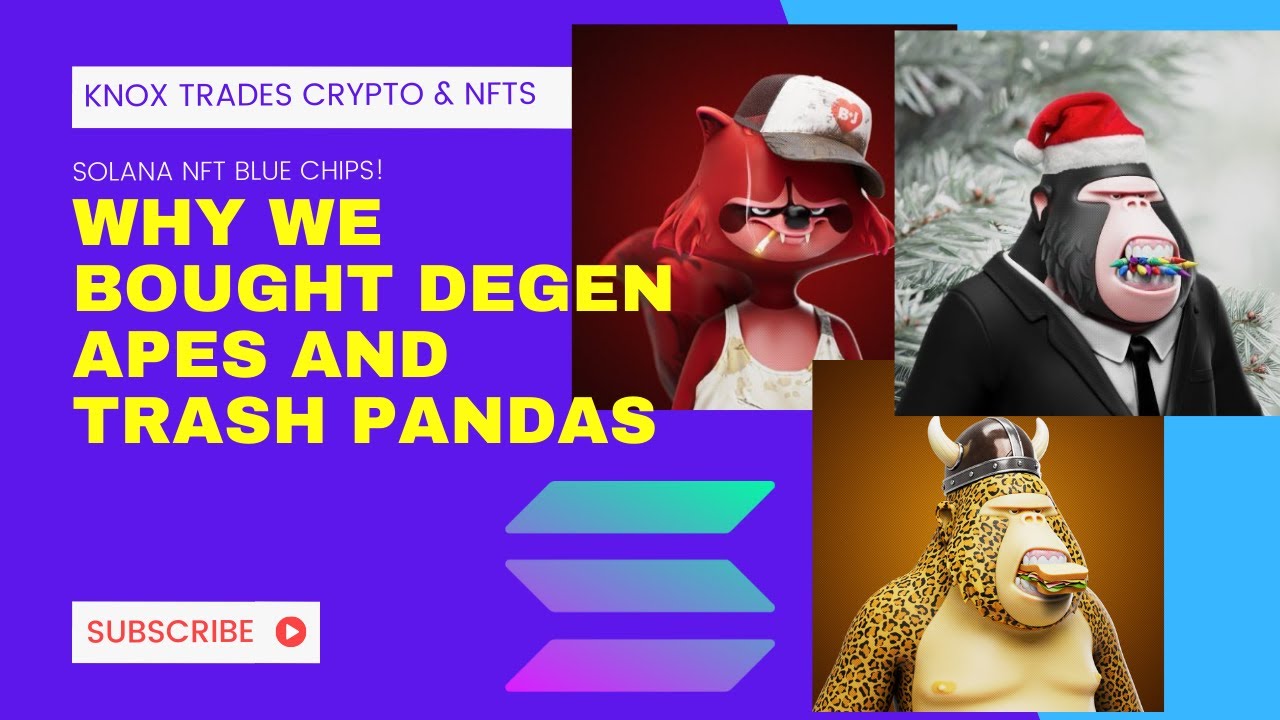 Why We Bought Degen Apes and Trash Pandas - with Pit the Panda and Bardstocks