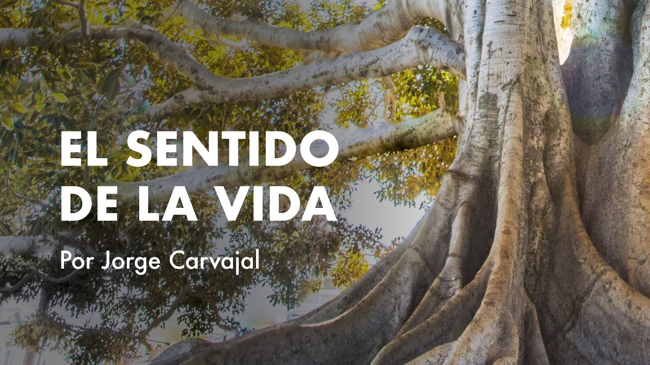 El sentido de la vida - Jorge Carvajal