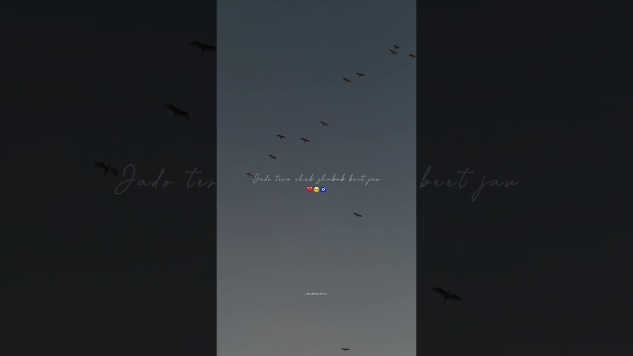 Chann Diggeya || Sabi Bhinder || Viral Status || 