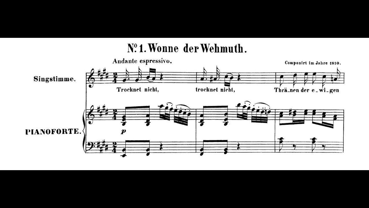 Wonne Der Wehmuth - L.v.Beethoven (piano / KARAOKE, Accompaniment, Mr, 반주)