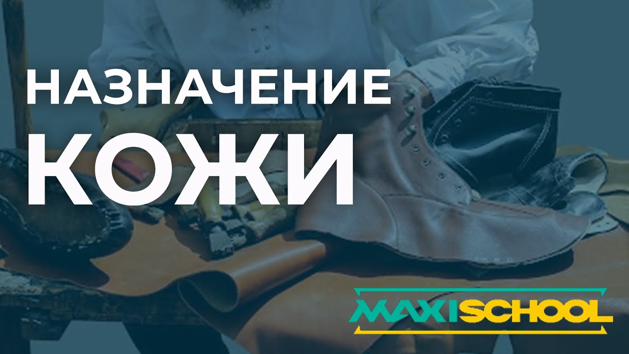MaxiSchool: назначение кожи. Свойства обувной, одеждой, галантерейной, технической и других кож