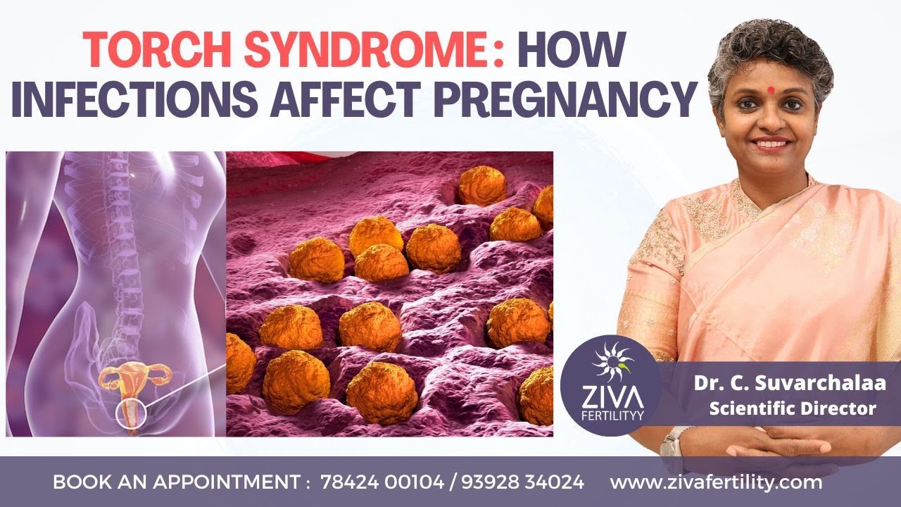 Diseases detected by a TORCH Screen || Screening Tests || Dr C Suvarchalaa || ZIVA Fertilityy