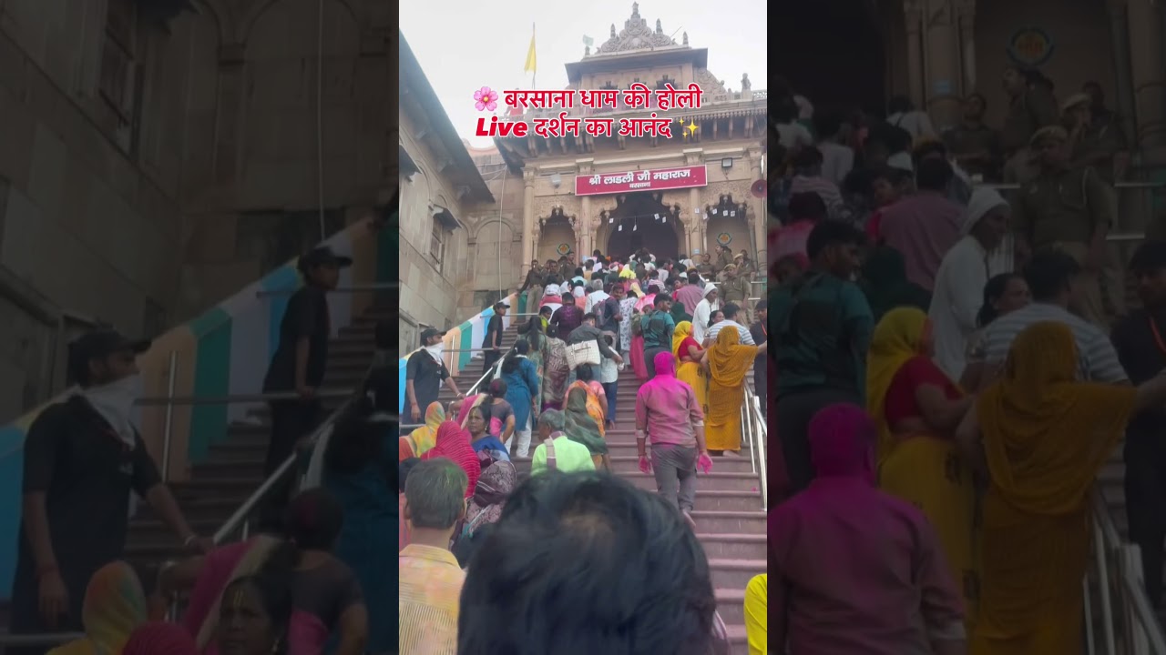 Barsana Laddu Holi 2026 Live Darshan 🎨💖 | Radha Rani Barsana Holi | Laddu Holi Barsana Dham