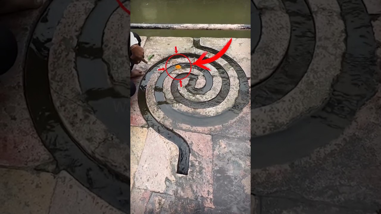 How is it possible?🤯😱 #shorts #water #flowers #ancient #technology #india #ytshorts #mystery #facts