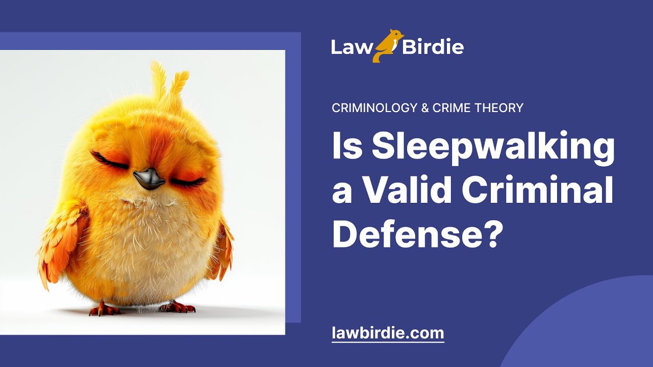 Is Sleepwalking a Valid Criminal Defense? - Essay Example