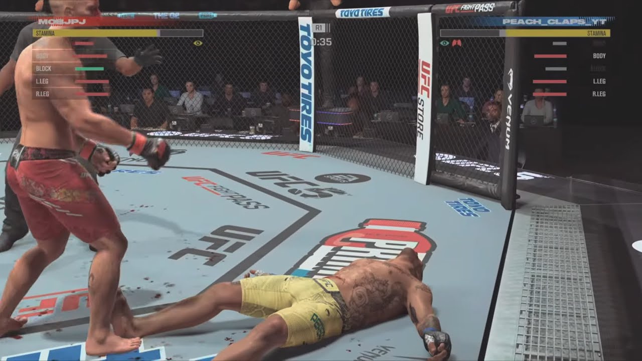 Brutal knock out|Ufc5