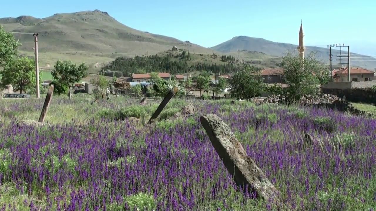 2016 Dokunmasalar