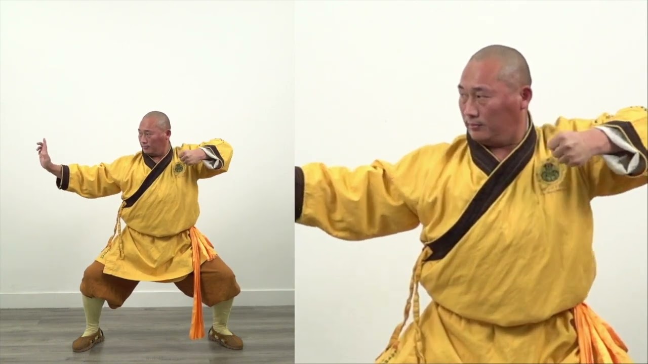 SHAOLIN KUNGFU CENTER V O ESP