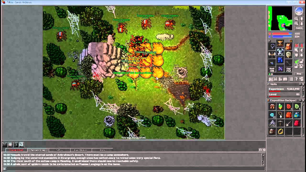 Tibia mamma longlegs world event PL by BoleqX
