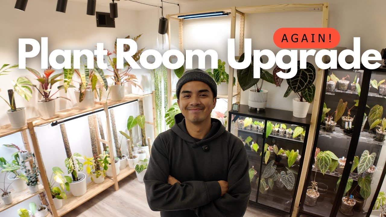 Plant Room Upgrade… AGAIN?! Adding More Shelves & Maximizing Space!