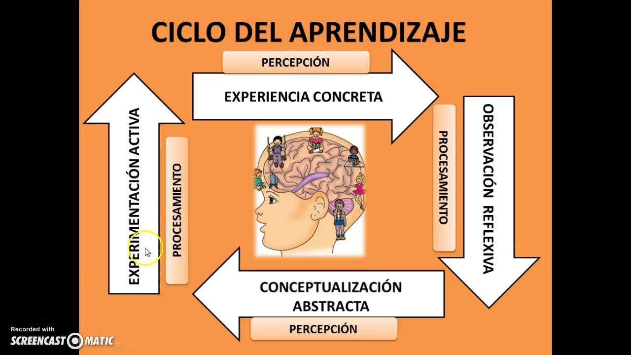 Ciclo de Aprendizaje de David Kolb