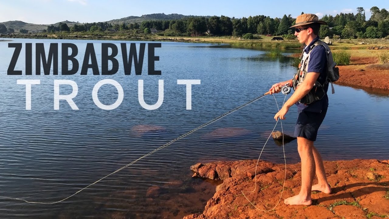 Fly fishing for Rainbow Trout in the Eastern Highlands of Zimbabwe (Nyanga)
