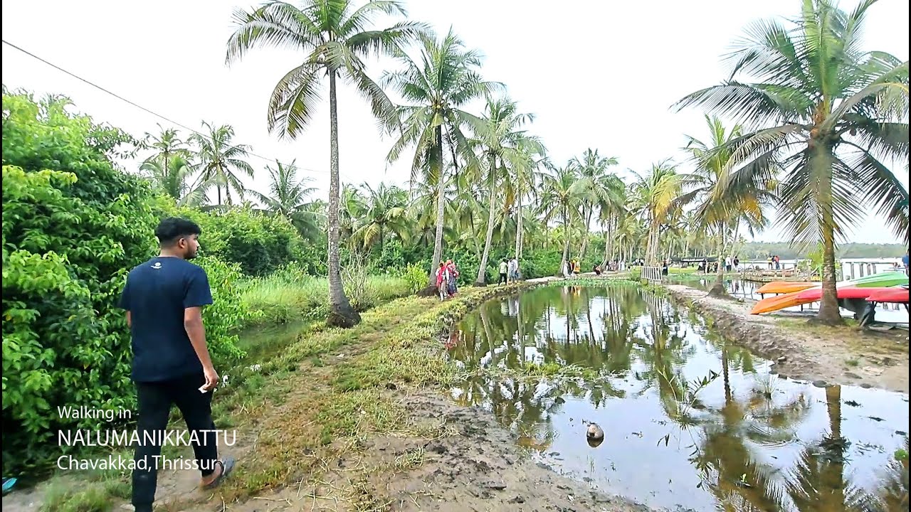 Kerala Rural Area Walking Tour /Beautiful Village park #indianvillagelife #keralavillage #rurallife