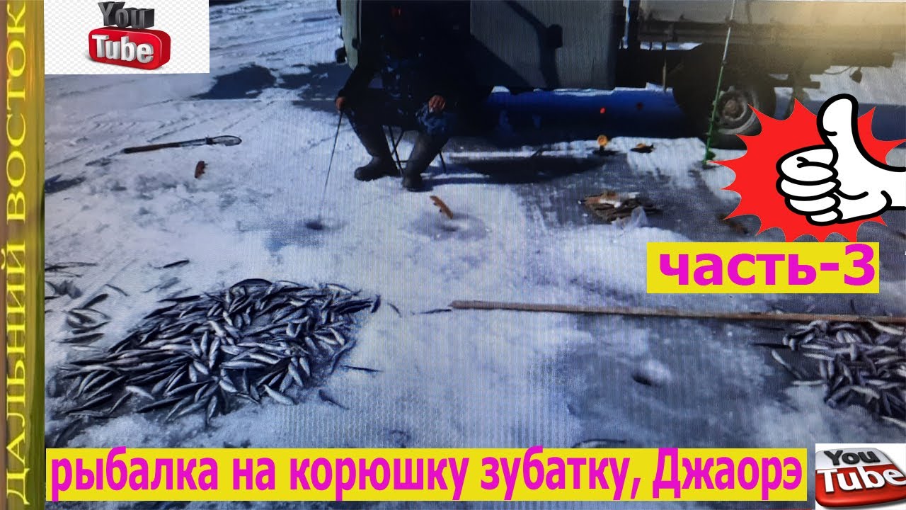 рыбалка на корюшку зубатку весна из подольда, джаорэ, николаевск  на  амуре. Часть   3