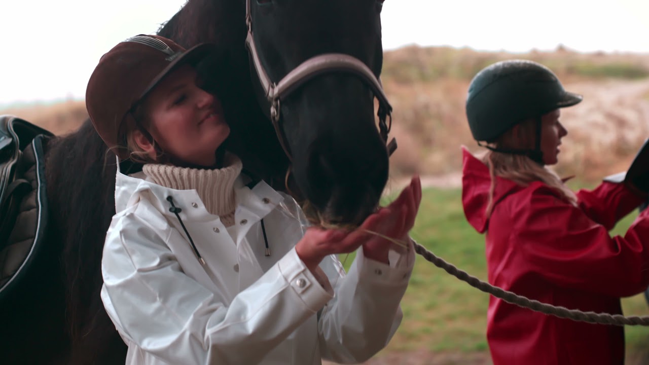 FROM THIS IS FARMERRAIN, HORSE IN THE RAIN
