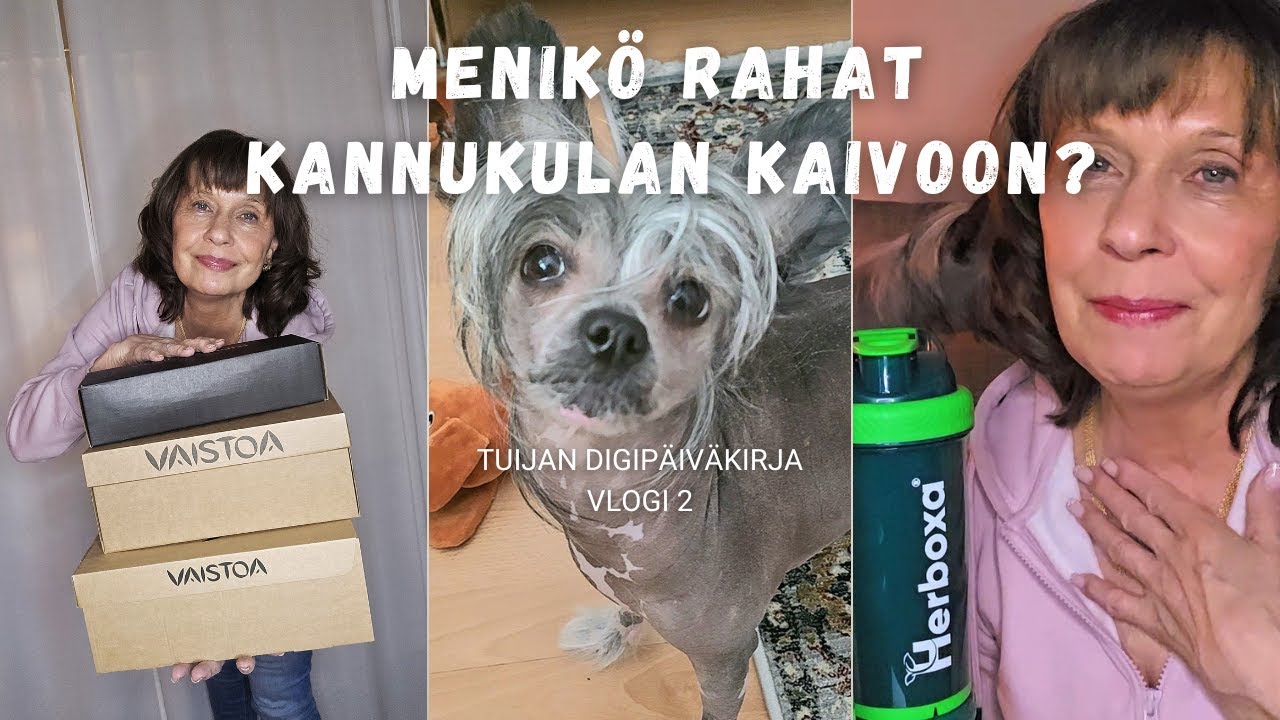 Prepaid -liittymän osto ja rehellinen mielipide mm paljasjalkakengistä l VLOGI 2