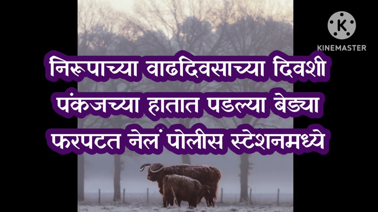 निरूपाच्या वाढदिवसाच्या दिवशी पोलिसांची धार पडतात पंकज अरेस्ट|sadhi mansa today episode 