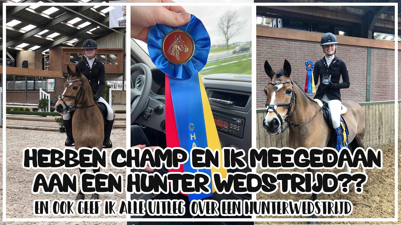 Hebben Charmeur en ik mee gedaan aan een HUNTER wedstrijd?😱🦄😍 #JoanneNeidhoferHorses #Vlog247