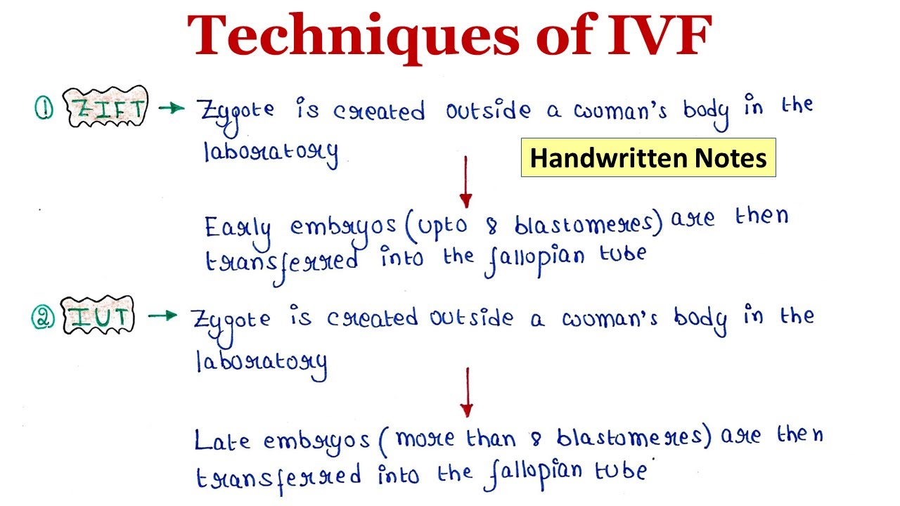 Techniques of IVF | Handwritten notes